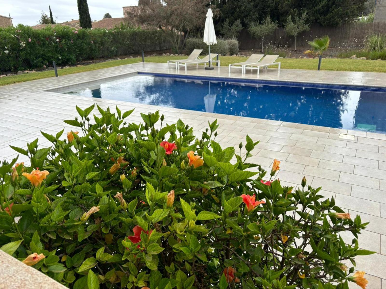 Trebol Villa Sa Pobla